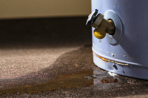 Best Flood damage cleanup  in Obion, TN