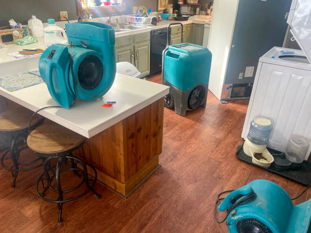 Best 24-hour water damage restoration  in Obion, TN