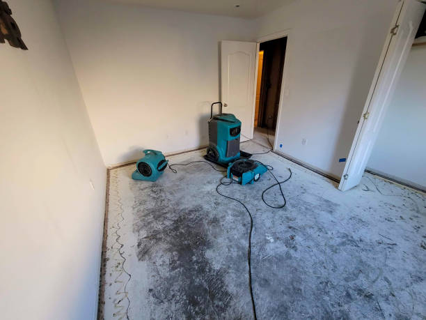 Water damage restoration mold remediation in Obion, TN