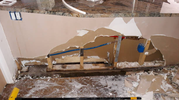 Best Water damage cleanup near me  in Obion, TN