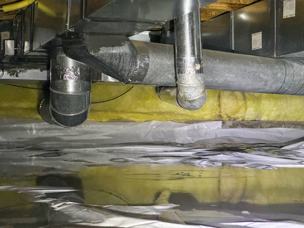 Best Water damage restoration experts  in Obion, TN