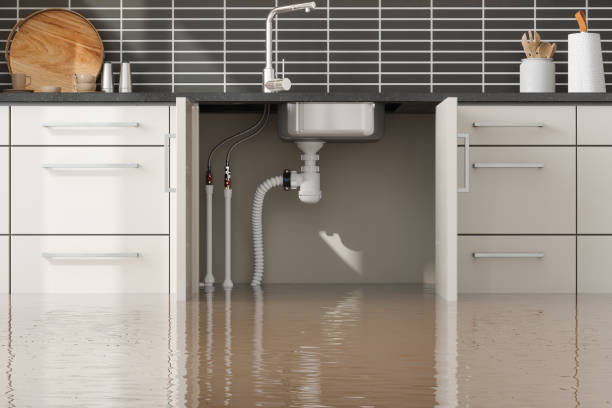 Fire Damage Restoration in Obion, TN